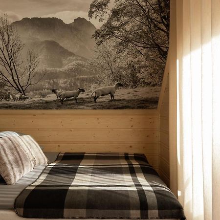 Tatra Chalet Krupowki 77A Zakopane Luaran gambar